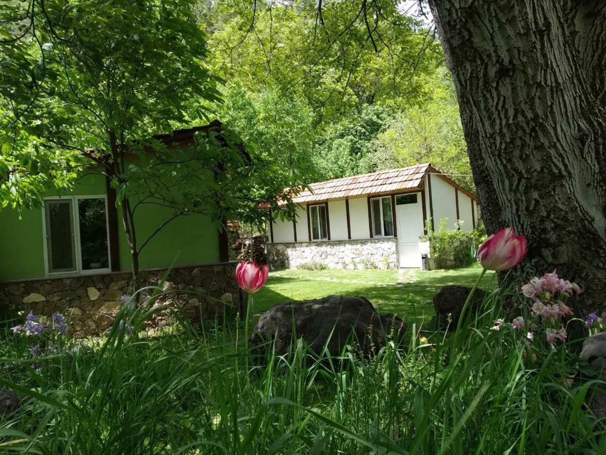 Hotel Eco Garden Dilijan Exterior foto